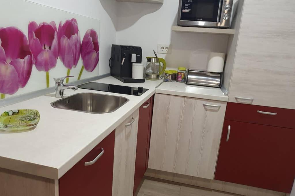 Zsizelle Rezidence Daire Braşov Dış mekan fotoğraf
